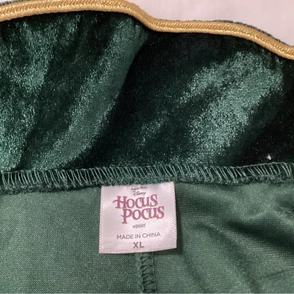 Hocus locus Disney costume